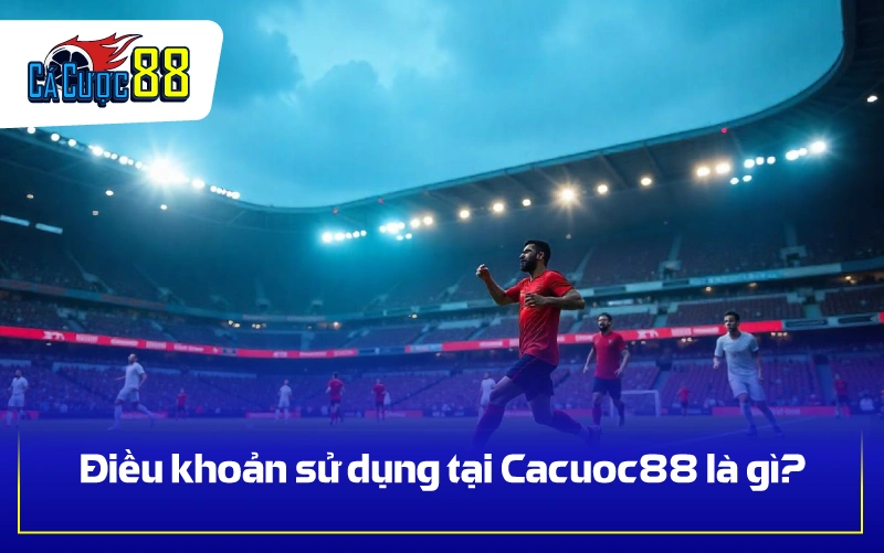 Điều khoản sử dụng tại Cacuoc88 là gì?